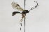  ( - CollHH2163)  @12 [ ] Creative Commons  Attribution Non-Commercial Share-Alike (2018) Hakon Haraldseide Unspecified