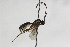  ( - CollHH2164)  @12 [ ] Creative Commons  Attribution Non-Commercial Share-Alike (2018) Hakon Haraldseide Unspecified