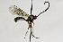  ( - CollHH2165)  @12 [ ] Creative Commons  Attribution Non-Commercial Share-Alike (2018) Hakon Haraldseide Unspecified