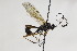  ( - CollHH2178)  @14 [ ] Creative Commons  Attribution Non-Commercial Share-Alike (2018) Hakon Haraldseide Unspecified