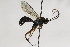  ( - CollHH2180)  @13 [ ] Creative Commons  Attribution Non-Commercial Share-Alike (2018) Hakon Haraldseide Unspecified