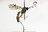  ( - CollHH2181)  @11 [ ] Creative Commons  Attribution Non-Commercial Share-Alike (2018) Hakon Haraldseide Unspecified