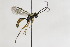  ( - CollHH2182)  @14 [ ] Creative Commons  Attribution Non-Commercial Share-Alike (2018) Hakon Haraldseide Unspecified