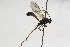  ( - CollHH2189)  @11 [ ] Creative Commons  Attribution Non-Commercial Share-Alike (2018) Hakon Haraldseide Unspecified