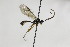  ( - CollHH2225)  @13 [ ] Creative Commons  Attribution Non-Commercial Share-Alike (2018) Hakon Haraldseide Unspecified