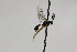  ( - CollHH2233)  @12 [ ] Creative Commons  Attribution Non-Commercial Share-Alike (2018) Hakon Haraldseide Unspecified