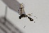  ( - CollHH2251)  @11 [ ] Creative Commons  Attribution Non-Commercial Share-Alike (2018) Hakon Haraldseide Unspecified