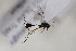  ( - CollHH2252)  @11 [ ] Creative Commons  Attribution Non-Commercial Share-Alike (2018) Hakon Haraldseide Unspecified