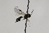  ( - CollHH2268)  @11 [ ] Creative Commons  Attribution Non-Commercial Share-Alike (2018) Hakon Haraldseide Unspecified