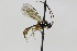  ( - CollHH2299)  @12 [ ] Creative Commons  Attribution Non-Commercial Share-Alike (2018) Hakon Haraldseide Unspecified