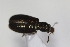  ( - CollHH2312)  @11 [ ] Creative Commons  Attribution Non-Commercial Share-Alike (2018) Hakon Haraldseide Unspecified