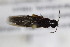  ( - CollHH2395)  @11 [ ] Creative Commons  Attribution Non-Commercial Share-Alike (2018) Hakon Haraldseide Unspecified