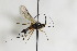  ( - CollHH2470)  @11 [ ] Creative Commons  Attribution Non-Commercial Share-Alike (2018) Hakon Haraldseide Unspecified