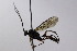 ( - CollHH2505)  @11 [ ] Creative Commons  Attribution Non-Commercial Share-Alike (2019) Hakon Haraldseide Unspecified