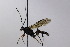  ( - CollHH2510)  @11 [ ] Creative Commons  Attribution Non-Commercial Share-Alike (2019) Hakon Haraldseide Unspecified