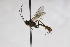  ( - CollHH2572)  @13 [ ] Creative Commons  Attribution Non-Commercial Share-Alike (2019) Hakon Haraldseide Unspecified