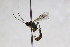  ( - CollHH2573)  @13 [ ] Creative Commons  Attribution Non-Commercial Share-Alike (2019) Hakon Haraldseide Unspecified
