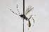  ( - CollHH2574)  @13 [ ] Creative Commons  Attribution Non-Commercial Share-Alike (2019) Hakon Haraldseide Unspecified