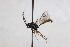  ( - CollHH2636)  @12 [ ] Creative Commons  Attribution Non-Commercial Share-Alike (2019) Hakon Haraldseide Unspecified