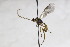  ( - CollHH2641)  @11 [ ] Creative Commons  Attribution Non-Commercial Share-Alike (2019) Hakon Haraldseide Unspecified