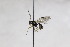  ( - CollHH2646)  @12 [ ] Creative Commons  Attribution Non-Commercial Share-Alike (2019) Hakon Haraldseide Unspecified