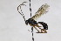  ( - CollHH2656)  @11 [ ] Creative Commons  Attribution Non-Commercial Share-Alike (2019) Hakon Haraldseide Unspecified