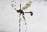  ( - CollHH2659)  @11 [ ] Creative Commons  Attribution Non-Commercial Share-Alike (2019) Hakon Haraldseide Unspecified