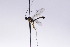  ( - CollHH2670)  @11 [ ] Creative Commons  Attribution Non-Commercial Share-Alike (2019) Hakon Haraldseide Unspecified