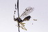  ( - CollHH2677)  @11 [ ] Creative Commons  Attribution Non-Commercial Share-Alike (2019) Hakon Haraldseide Unspecified