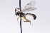  ( - CollHH2721)  @11 [ ] Creative Commons  Attribution Non-Commercial Share-Alike (2019) Hakon Haraldseide Unspecified