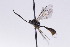  ( - CollHH2738)  @12 [ ] Creative Commons  Attribution Non-Commercial Share-Alike (2019) Hakon Haraldseide Unspecified