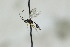  ( - CollHH2807)  @11 [ ] Creative Commons  Attribution Non-Commercial Share-Alike (2019) Hakon Haraldseide Unspecified