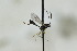  ( - CollHH2809)  @11 [ ] Creative Commons  Attribution Non-Commercial Share-Alike (2019) Hakon Haraldseide Unspecified