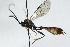  ( - CollHH2883)  @13 [ ] Creative Commons  Attribution Non-Commercial Share-Alike (2020) Hakon Haraldseide Unspecified