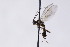  ( - CollHH2978)  @11 [ ] Creative Commons  Attribution Non-Commercial Share-Alike (2021) Hakon Haraldseide Unspecified