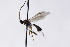  ( - CollHH2980)  @11 [ ] Creative Commons  Attribution Non-Commercial Share-Alike (2021) Hakon Haraldseide Unspecified