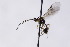  ( - CollHH2982)  @11 [ ] Creative Commons  Attribution Non-Commercial Share-Alike (2021) Hakon Haraldseide Unspecified