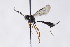  ( - CollHH2991)  @11 [ ] Creative Commons  Attribution Non-Commercial Share-Alike (2021) Hakon Haraldseide Unspecified