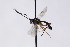  ( - CollHH3003)  @11 [ ] Creative Commons  Attribution Non-Commercial Share-Alike (2021) Hakon Haraldseide Unspecified