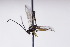  ( - CollHH3024)  @11 [ ] Creative Commons  Attribution Non-Commercial Share-Alike (2021) Hakon Haraldseide Unspecified