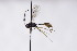  ( - CollHH3029)  @11 [ ] Creative Commons  Attribution Non-Commercial Share-Alike (2021) Hakon Haraldseide Unspecified