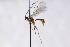  ( - CollHH3036)  @11 [ ] Creative Commons  Attribution Non-Commercial Share-Alike (2021) Hakon Haraldseide Unspecified