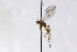  ( - CollHH3038)  @11 [ ] Creative Commons  Attribution Non-Commercial Share-Alike (2021) Hakon Haraldseide Unspecified