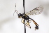  ( - CollHH3043)  @11 [ ] Creative Commons  Attribution Non-Commercial Share-Alike (2021) Hakon Haraldseide Unspecified