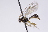 ( - CollHH3050)  @13 [ ] Creative Commons  Attribution Non-Commercial Share-Alike (2021) Hakon Haraldseide Unspecified