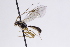  ( - CollHH3052)  @13 [ ] Creative Commons  Attribution Non-Commercial Share-Alike (2021) Hakon Haraldseide Unspecified
