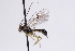  ( - CollHH3054)  @11 [ ] Creative Commons  Attribution Non-Commercial Share-Alike (2021) Hakon Haraldseide Unspecified