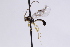  ( - CollHH3055)  @11 [ ] Creative Commons  Attribution Non-Commercial Share-Alike (2021) Hakon Haraldseide Unspecified