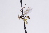  ( - CollHH3057)  @11 [ ] Creative Commons  Attribution Non-Commercial Share-Alike (2021) Hakon Haraldseide Unspecified