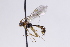  ( - CollHH3062)  @11 [ ] Creative Commons  Attribution Non-Commercial Share-Alike (2021) Hakon Haraldseide Unspecified